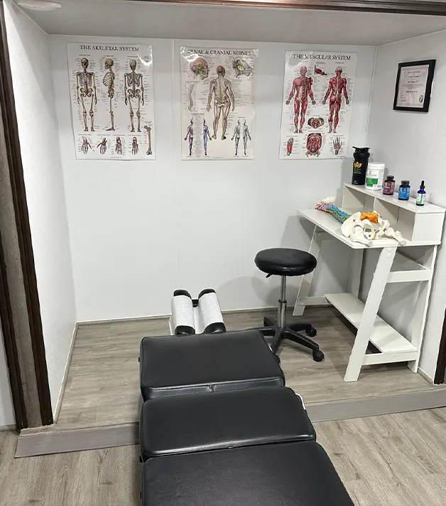 Mobile Chiropractic Office in Smithfield Inland (1)